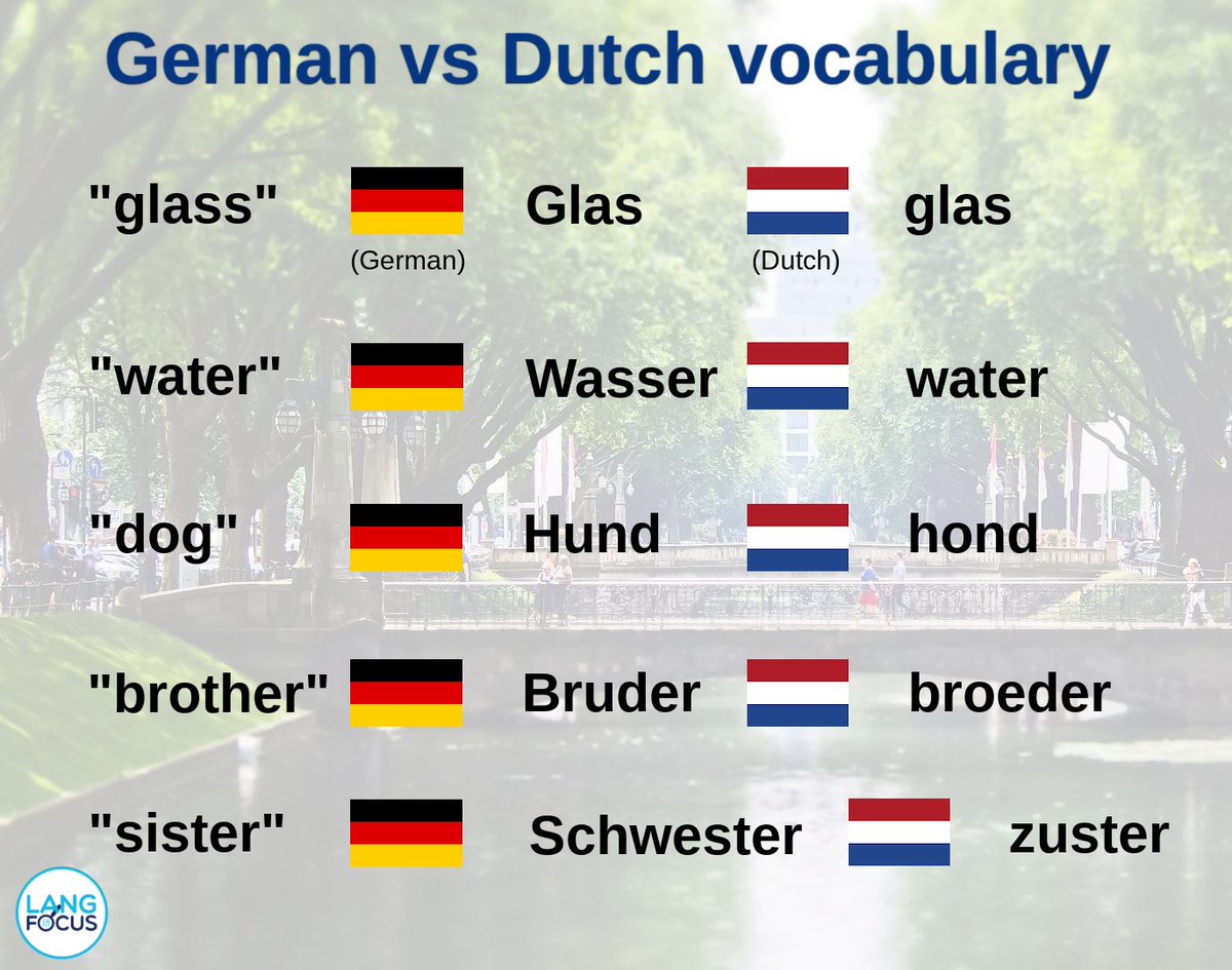 Langfocus Paul 🪬 tweet media