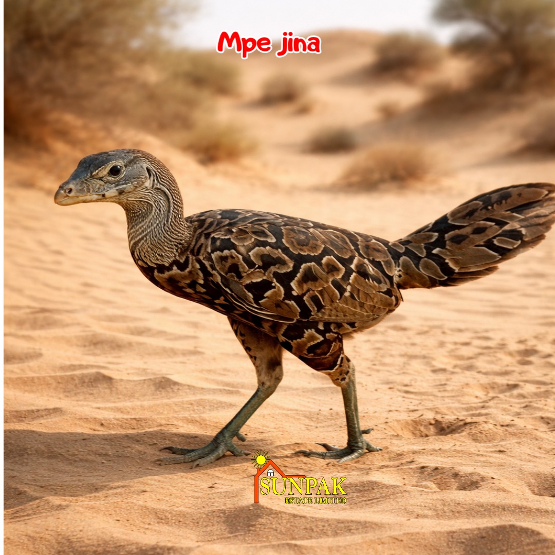 adhiamboogada13's tweet image. Huyu anafaa kuitwa aje?

sunpakestate.co.ke
#ViralMemes
#SunpakEstateKe
#plotsforsale
#fyp