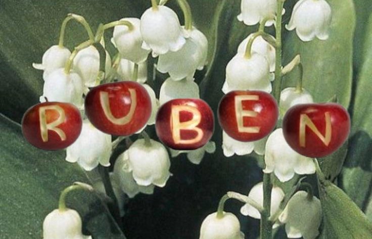 ⋆｡ﾟ☁︎ ruben / rylan ｡⋆｡ 🪲 ﾟ☾ ﾟ｡⋆ tweet media