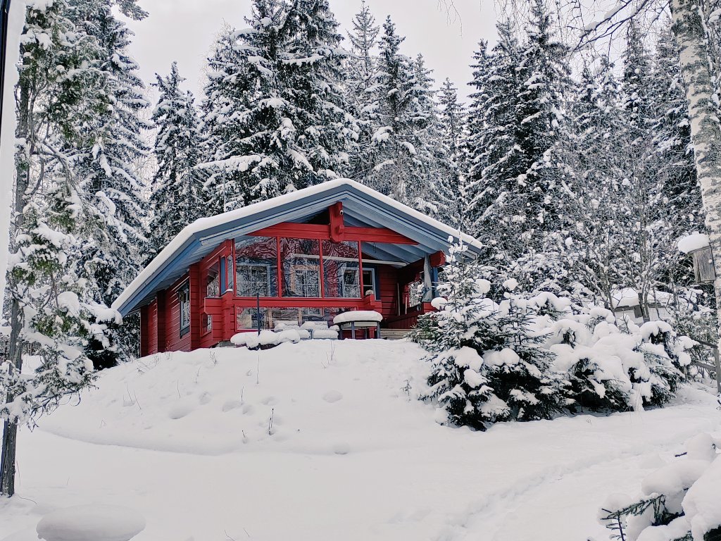 ElseKruskopf's tweet image. Hyvää huomenta ja mukavaa perjantaita. Jalo löytyi jälleen jalkopäästä🐱 Kalliolle kukkulalle rakennan minä majani🏠Kylmä - 18 #Finland #Jaala #cottage #Wintervibes #Catsoftwitter #Jalo #StandWithUkraine️ 💛 💙 🇺🇦