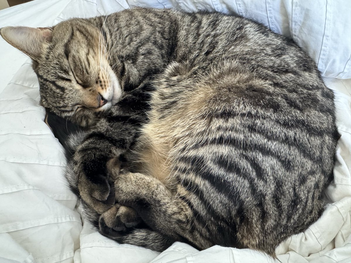 Burning-Thorne tweet media