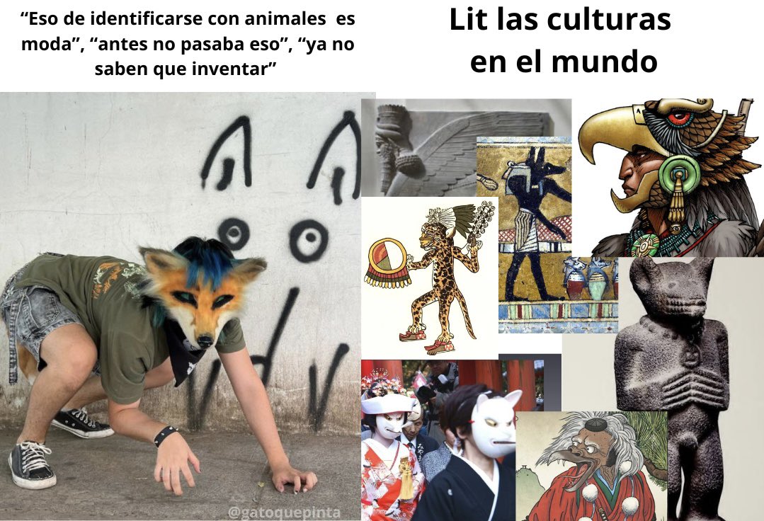 Gatoquepinta tweet media