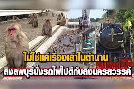ถ้าไม่ติดว่าญี่ปุ่นเป็นเกาะนะ นี่ว่ามันนั่งรถไฟไปจัดให้ถึงที่ละ