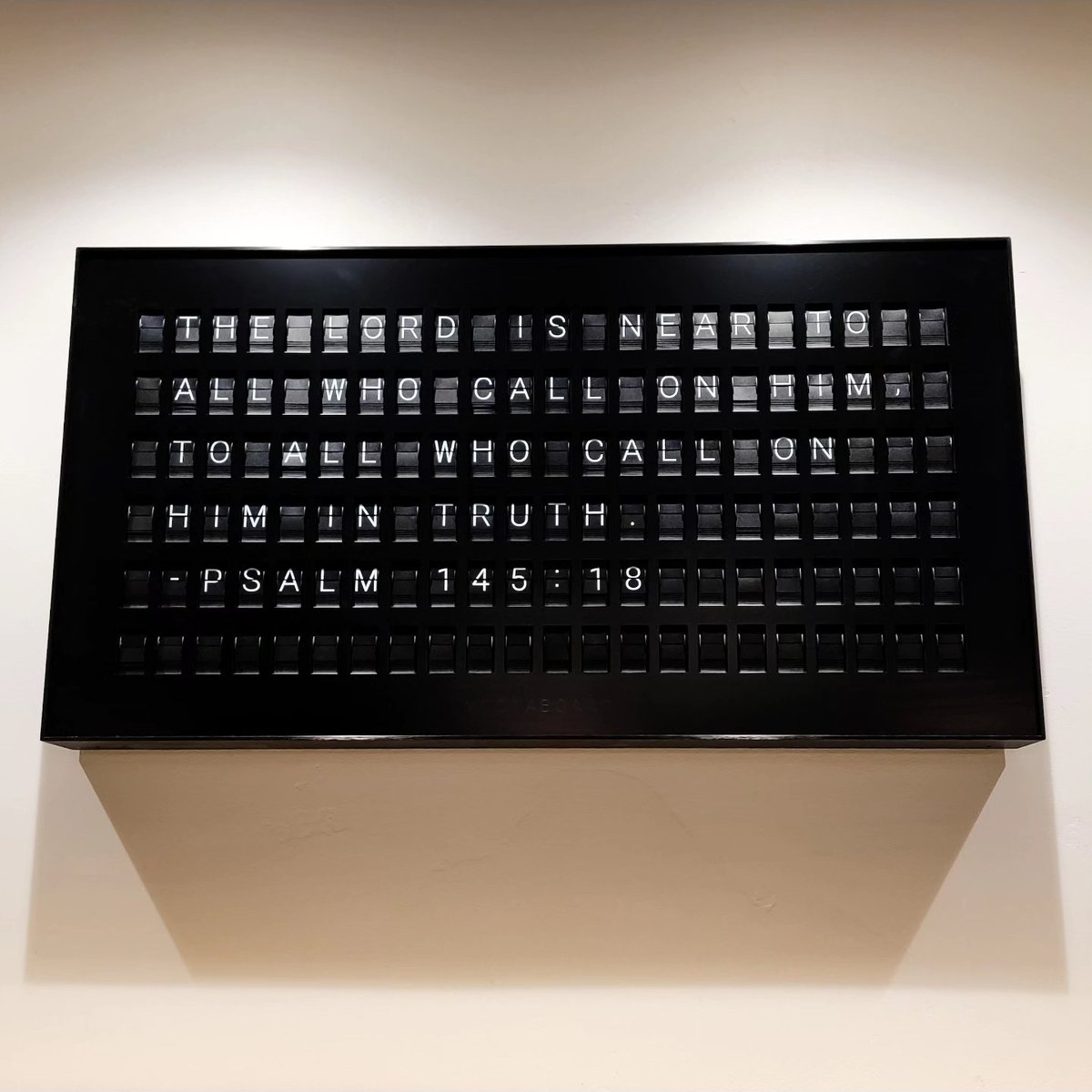 Sarah Cameron tweet media