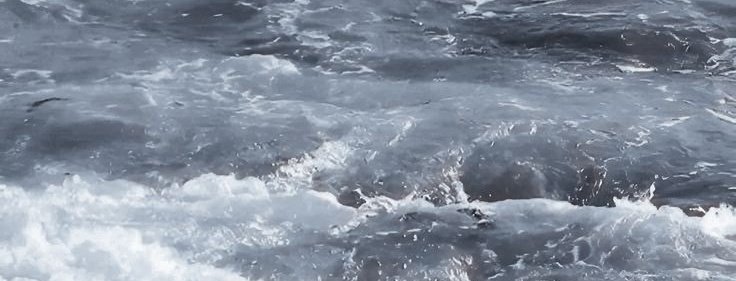 모심글 | 波浪聲 tweet media