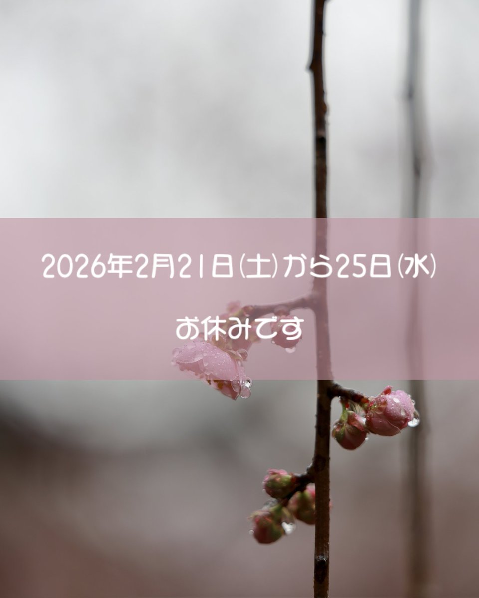 2月の営業予定でお知らせしております通り2月21日(土)から25日(水)はお休みです。

休業日はお問い合わせの対応もお休みさせていただきます。

よろしくお願いいたします。

#ハリーズミニチュアワークス