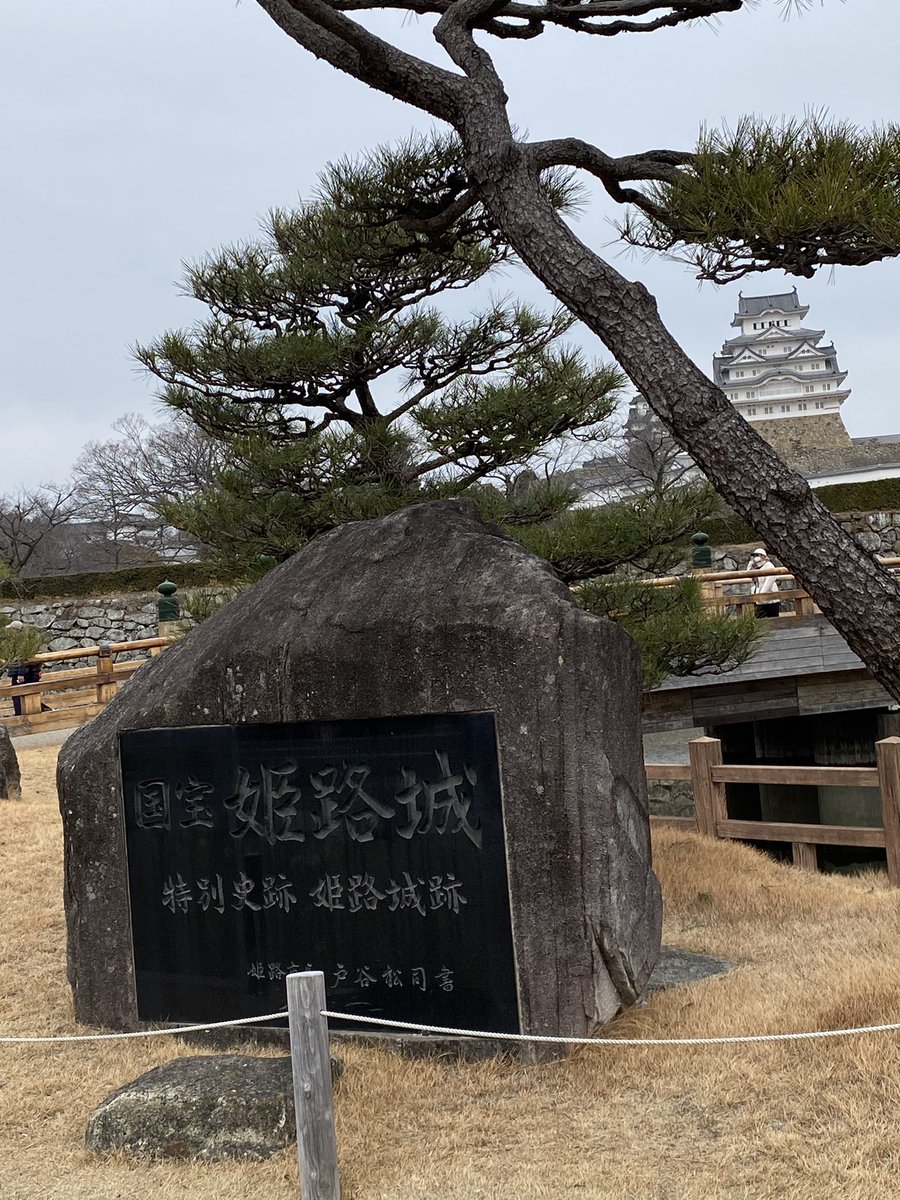 0̸0̸0̸ Vo 奏鳴亜 (たろすけ) tweet media