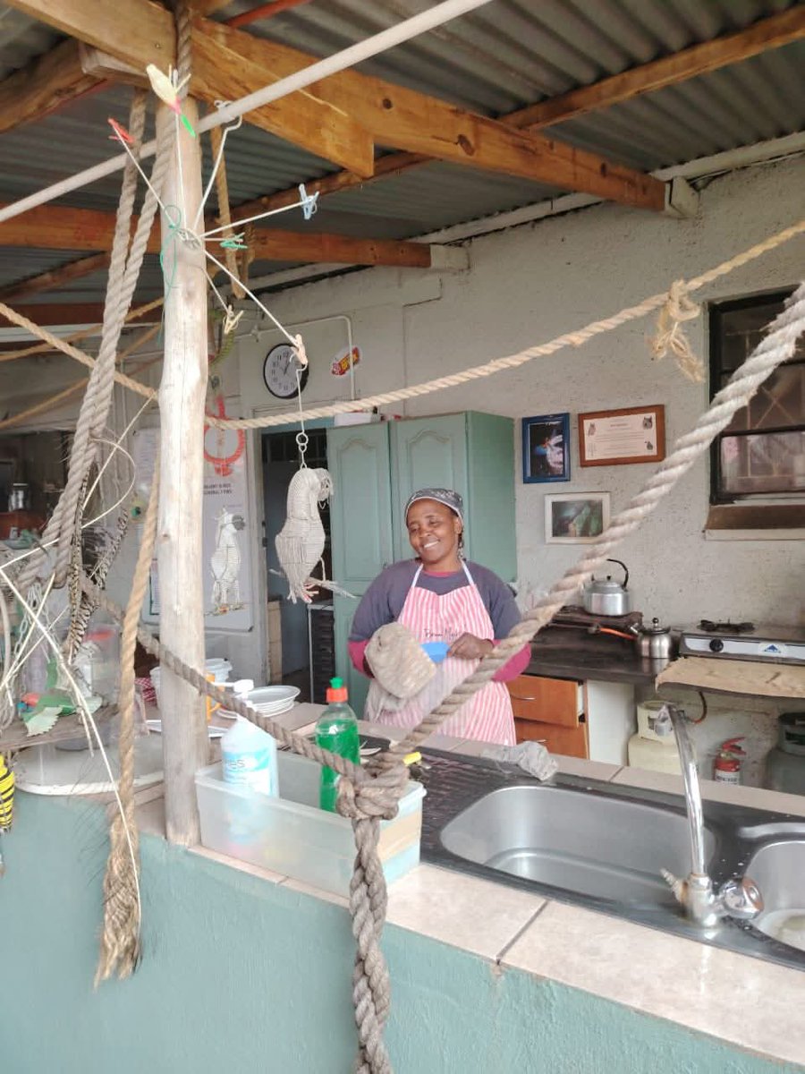 Brainy Birds SA tweet media