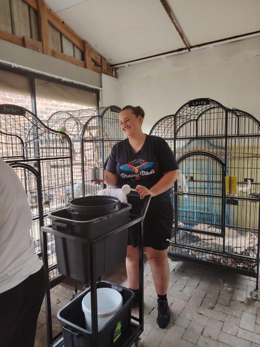 Brainy Birds SA tweet media