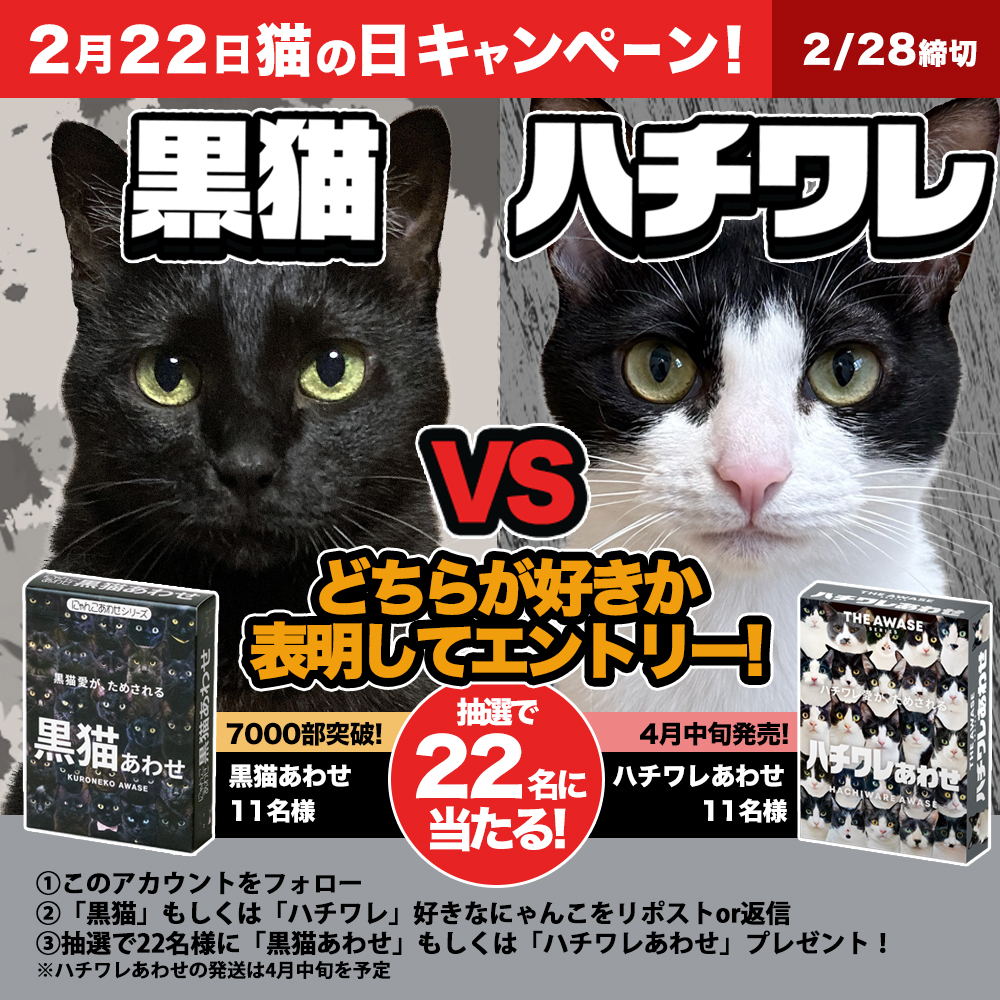 どちらなんて、言わせにゃい！！