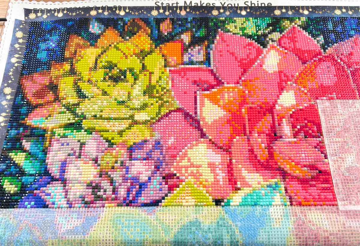 かわいい〜🪴💕 多肉植物詳しくないけど本当にこんな色あるんかな