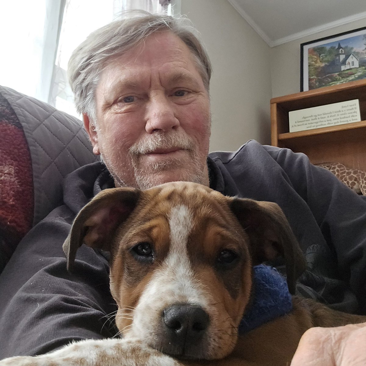 Michael Addis tweet media