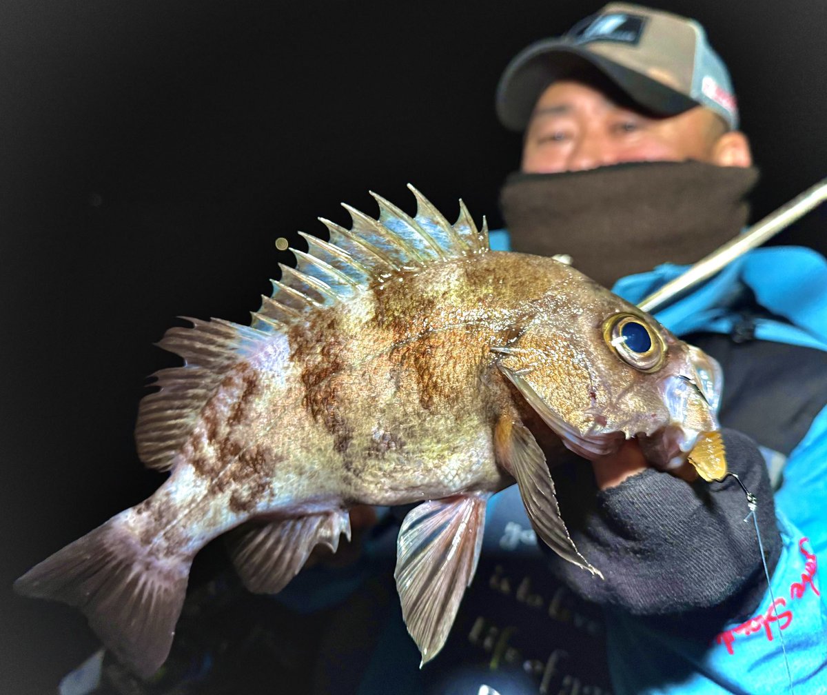 エンジョイソルト (@SefhCsoYYDDg1pR) / Posts / X