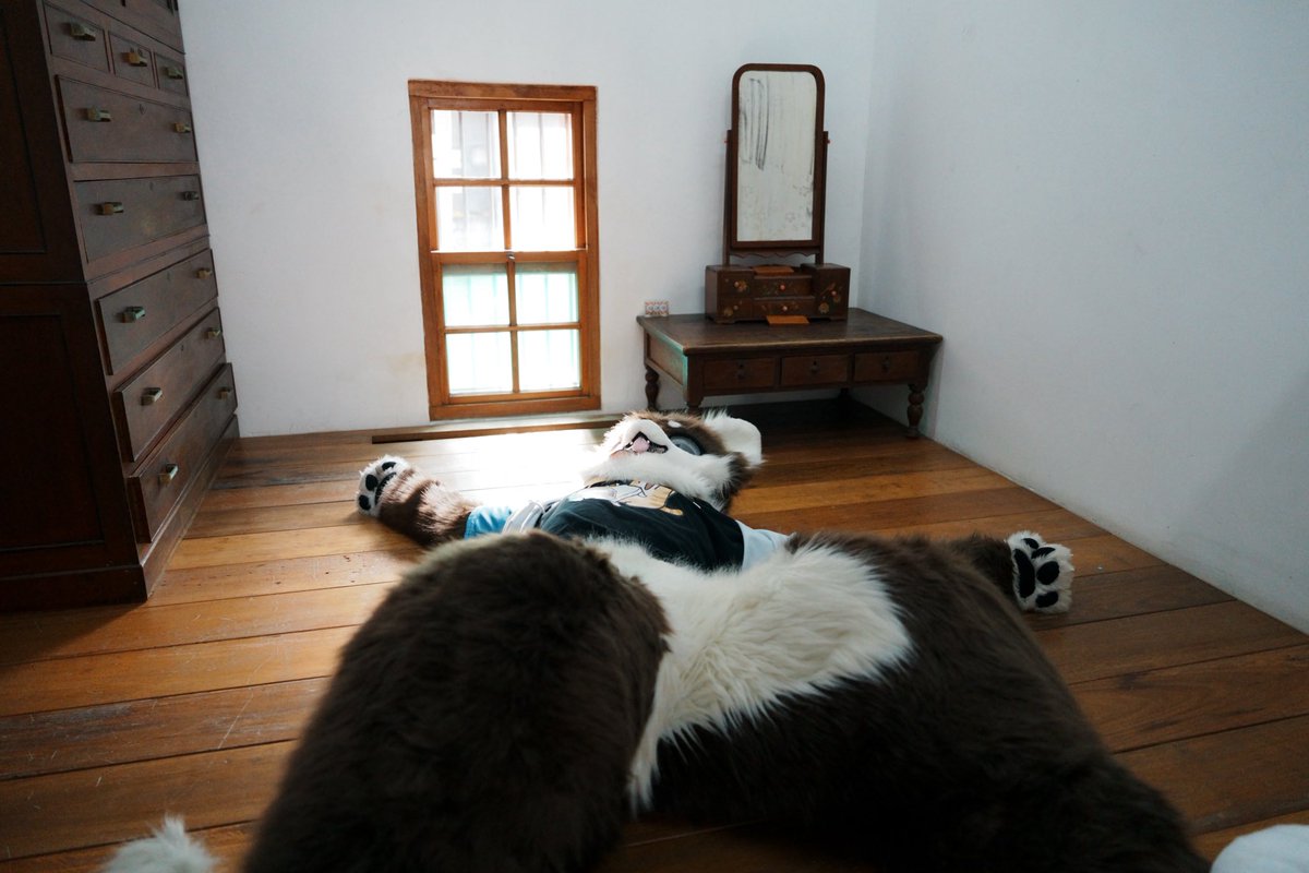 LittleWolf0221's tweet photo. 「大過年的 在家睡一整天最棒了uwu」

#FursuitFriday #fursuit https://t.co/llubk26BAo