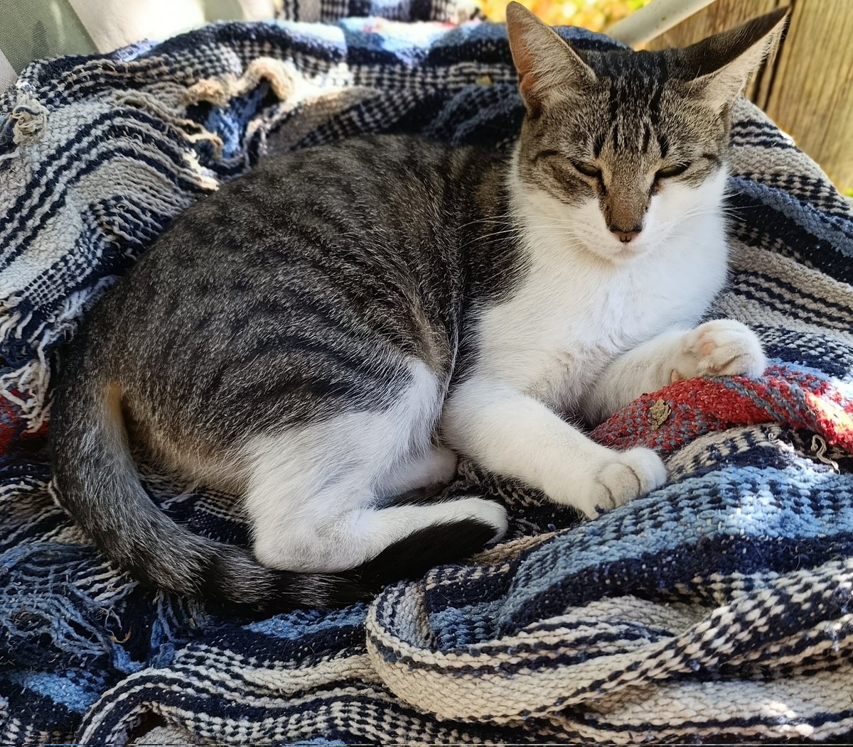 Ayúdenos hoy me es imposible sola😞 si consigo ayuda podré tal vez emprender algo para poder trabajar🥺 no hemos recibido nada últimamente y no tengo más opción que pedir nuevamente su ayuda... Por favor 🙏🏻 entrando en el link pueden ayudarnos donando 🥹
gogetfunding.com/rescate-sus-vi…