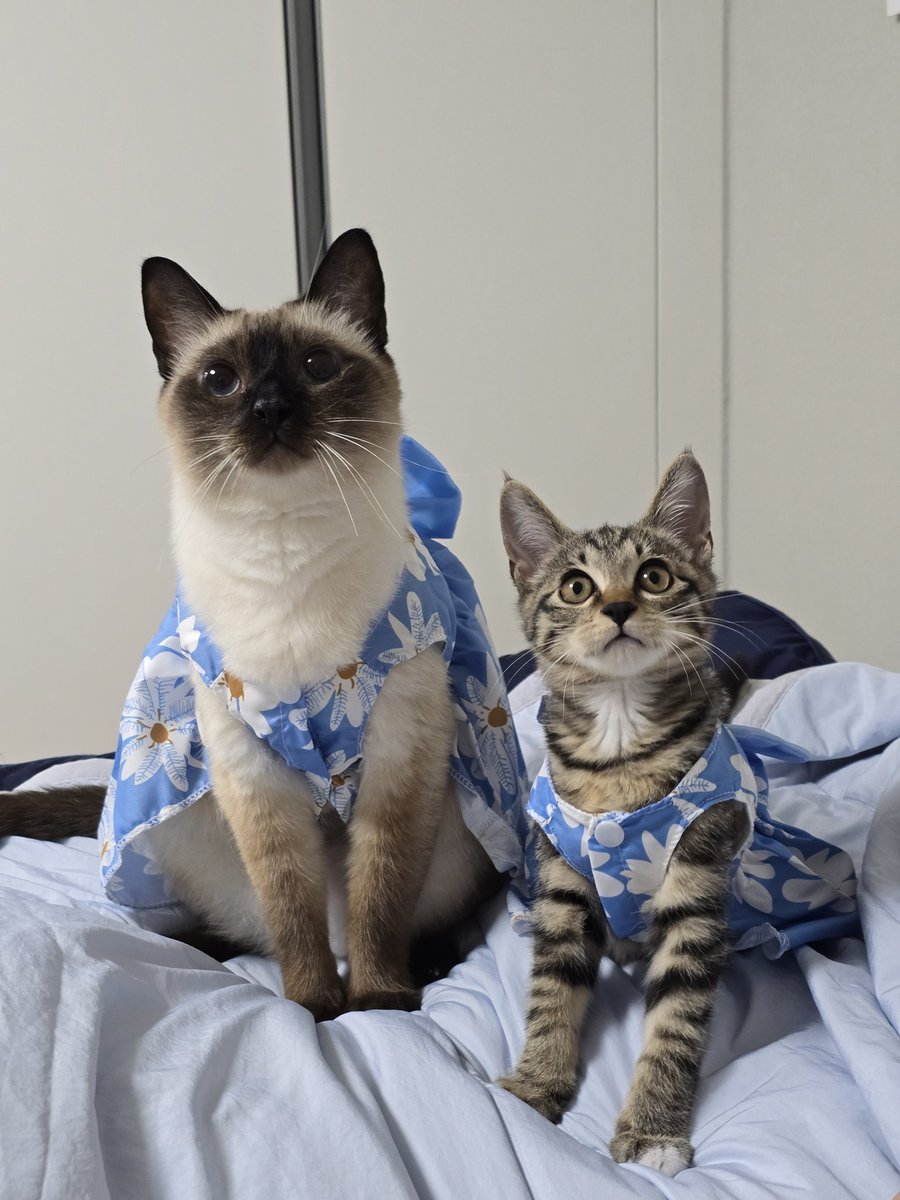 _JAEDA__'s tweet image. 더 아기 때 사진 보실래요..?