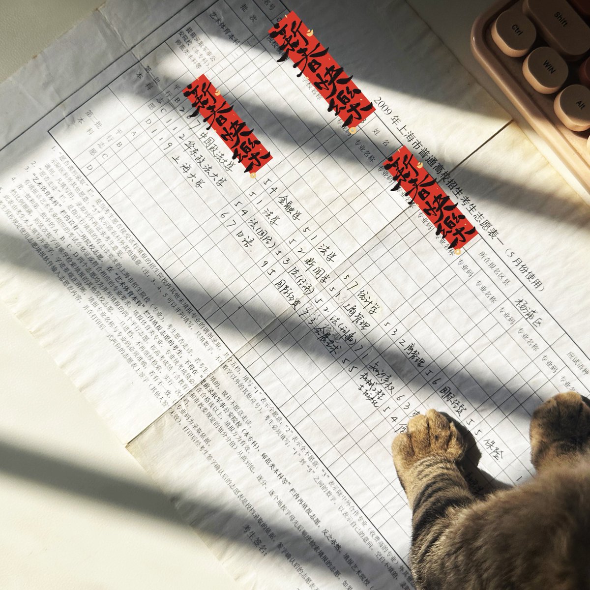 叶紫老师也是同学 tweet media