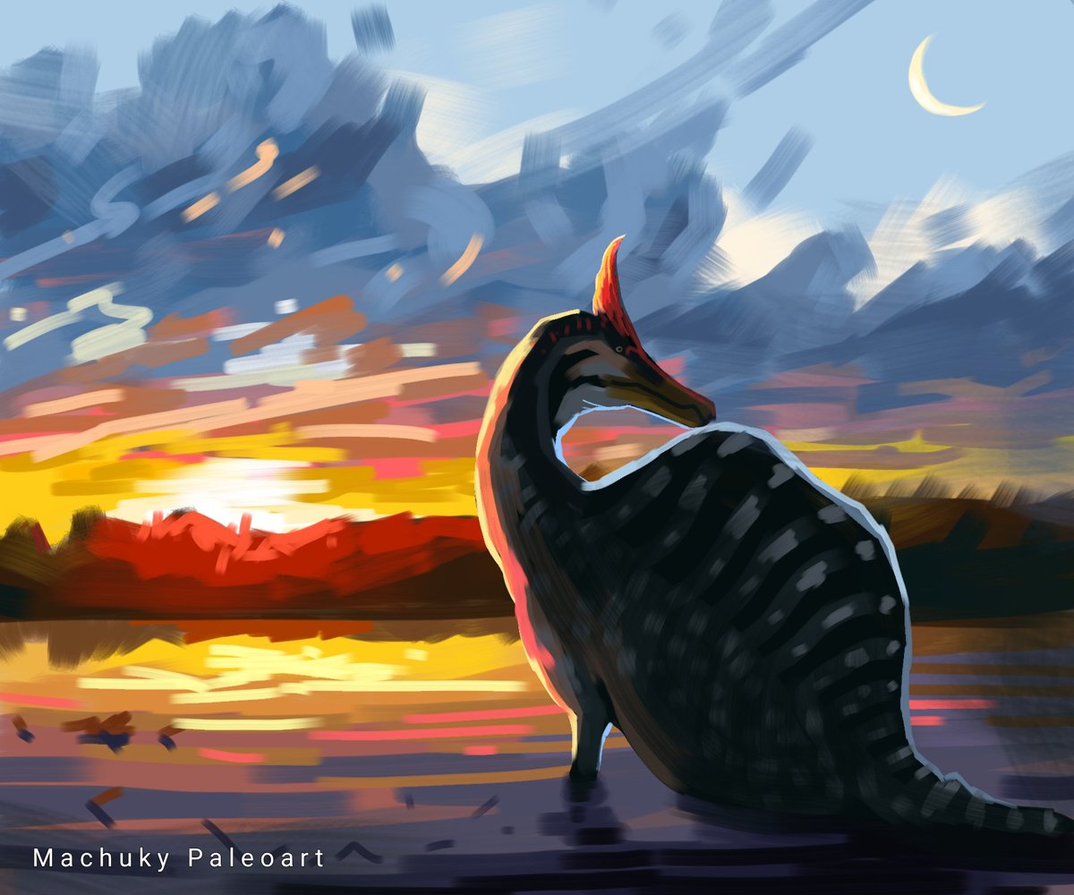 machukytakahash's tweet photo. Un Spinosaurus nuevo? No se diga más..
El nuevamente descrito Spinosaurus miriabilis speedpaint
#paleoart #paleontology #spino #speedpaint #paleo #spino #dinosaur #digitaldrawing https://t.co/sQ7SjLMz4j