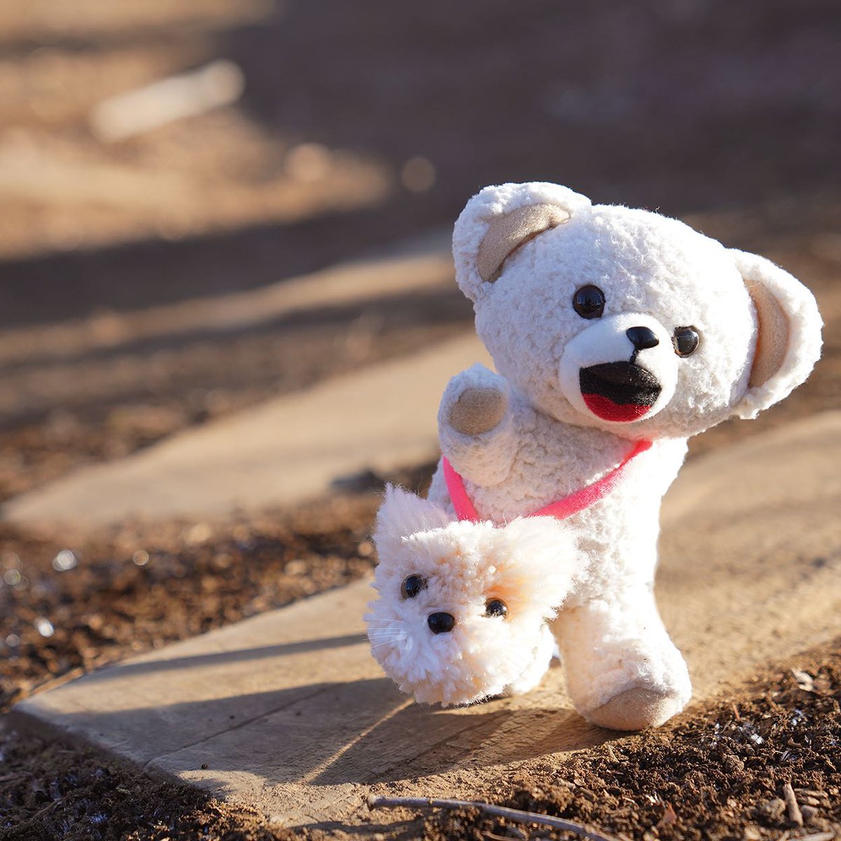 ファーファ tweet media