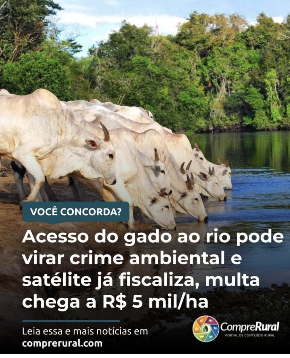 Clau de Luca 🇧🇷 tweet media