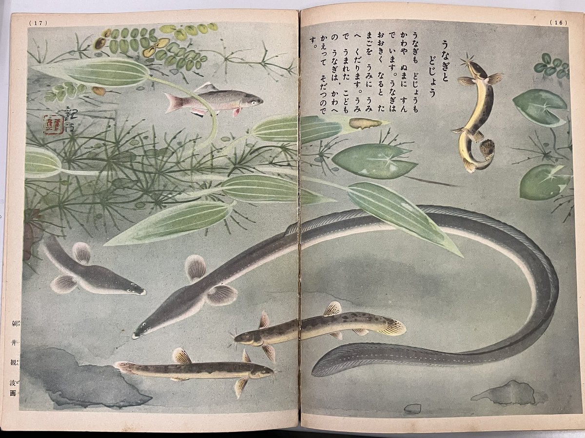 1950年に講談社から刊行された『魚ずくし』を入手。日本産ビジュアル
