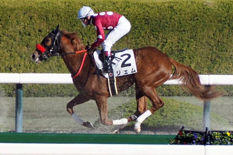 LAURELCLUB_INC's tweet image. 🐎今週末の出走馬情報🐎

2月21日(土)        
小倉3R(10:45)   
ジェム　斎藤 新

阪神4R(11:25) 　新馬🔰
エイコーンドリーム　池添 謙一

2月15日(日)   
東京3R(11:05) 　新馬🔰
グリニッジローズ　▲大久保 友雅

応援よろしくお願いいたします🙇‍♀️🙇‍♂️🙇

#一口馬主 #ローレルクラブ #新馬戦 #ジェム