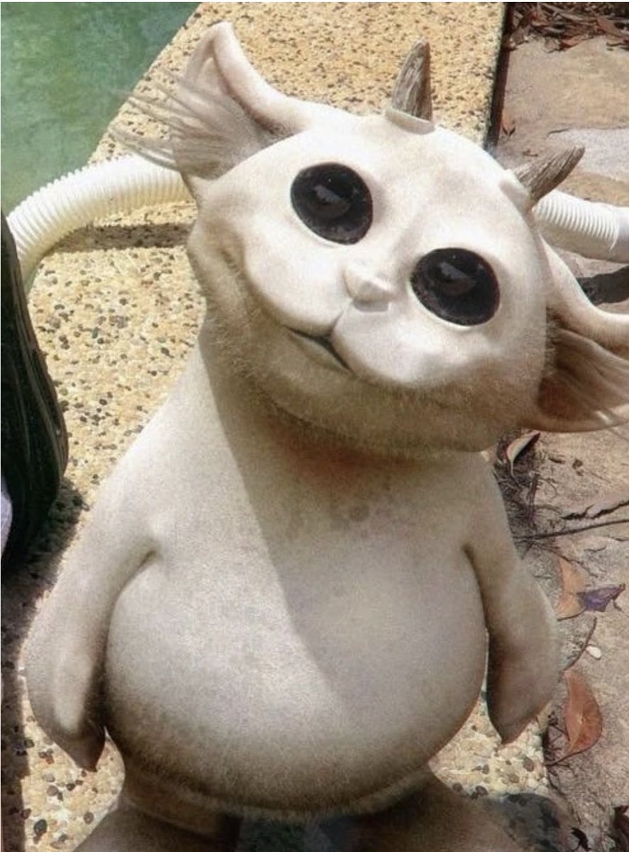 Jill the Tøp Møm tweet media