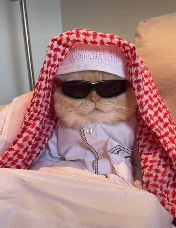 Heart to Heart with God🙏😇

He said our prayers 🛐 are answered🤲✨

Good morning mutuals, non-mutuals, verified, and soon to be verified ✨✨

TGIF