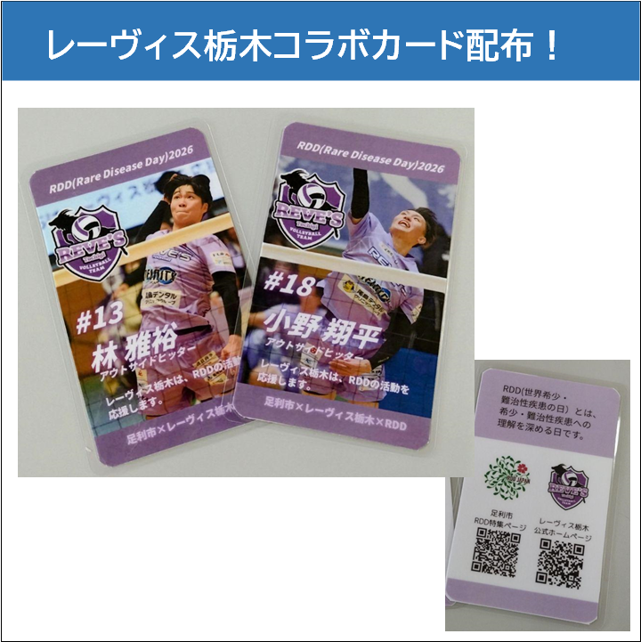 swc_ashikaga's tweet image. 【 #RDD ２０２６限定！オリジナルコラボカード】
RDD当日の２月２８日（土）に、コムファースト・ショッピングセンター（アピタ足利店）のパネル展示会場にて
レーヴィス栃木# 13 林 雅裕選手、# 18 小野 翔平選手本人からカードをお渡しします！
ぜひお越しください☆