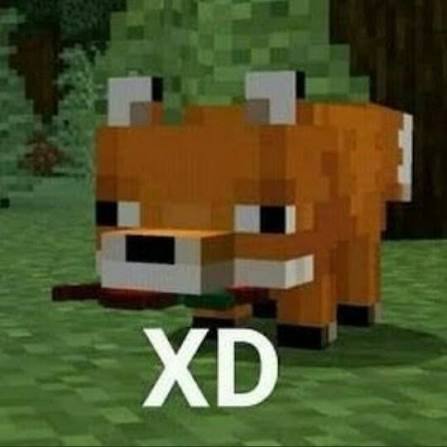 Intento ser tranqui y formal cuando debato, si aveces se me sale la agresividad perdona de antemano