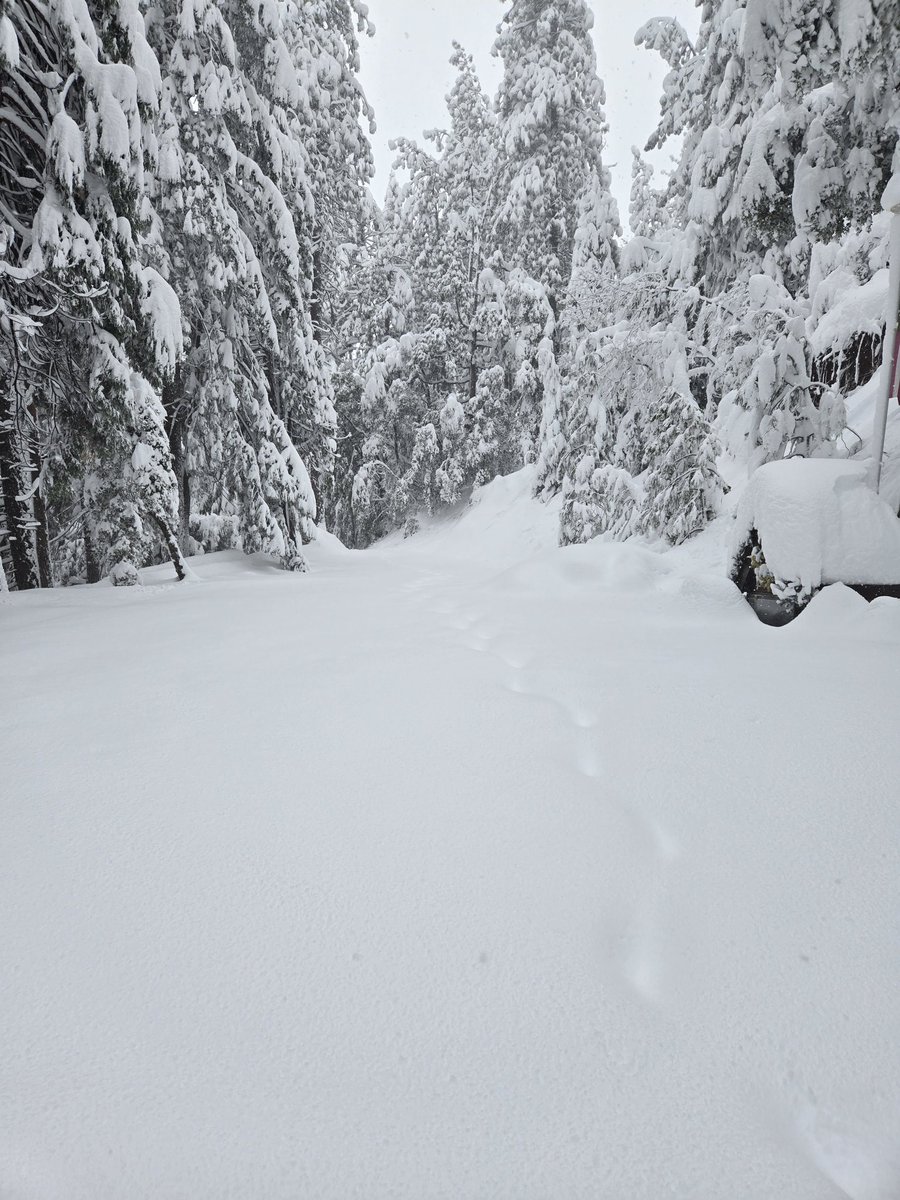 Pam_IAhawk's tweet photo. Enjoying the Sierra snow without leaving home https://t.co/h9dG1VBGRn