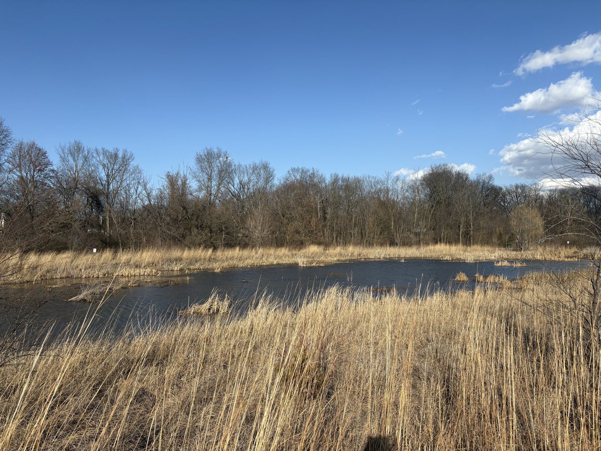 we MUST destroy <a href="/wasianmaoist/">Cove 🦇</a> 

twitch.tv/awsumlol