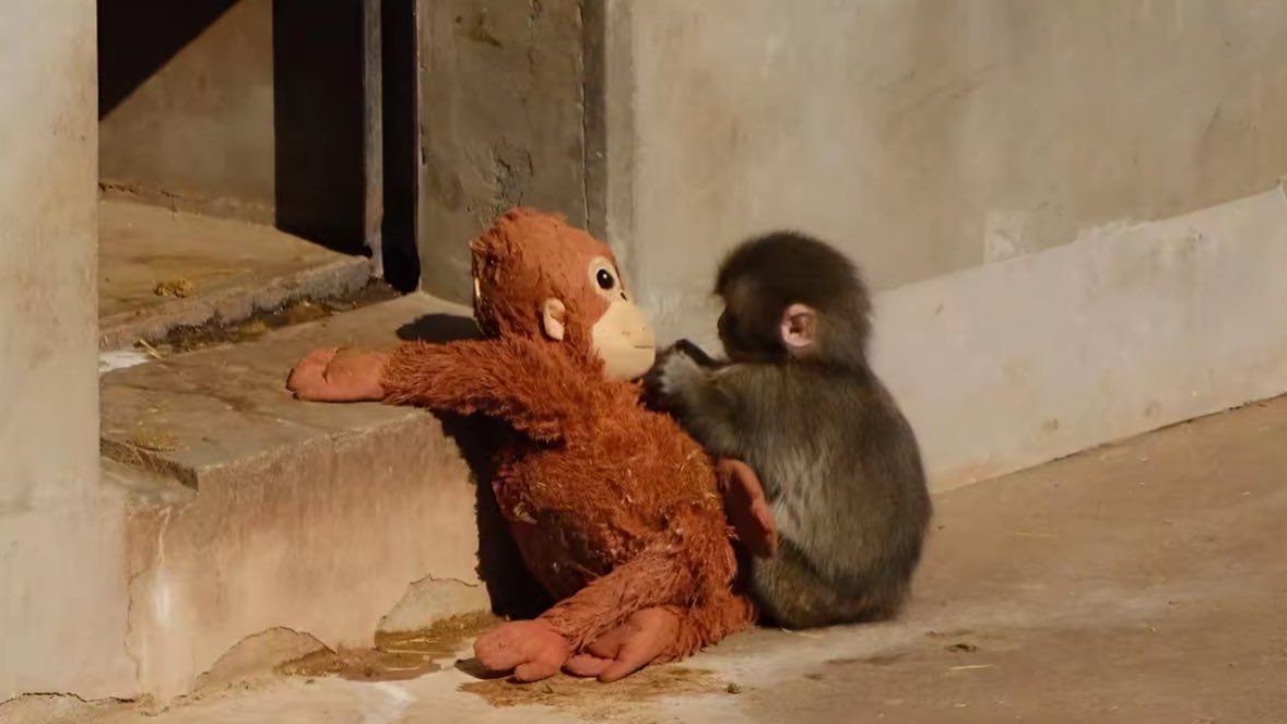 Kendinizi yeterince sevmeyi öğrenmeniz ve artık özlediğiniz sevgiyi başka insanlarda, yerlerde veya eşyalarda aramanıza gerek kalmaması dileğiyle.