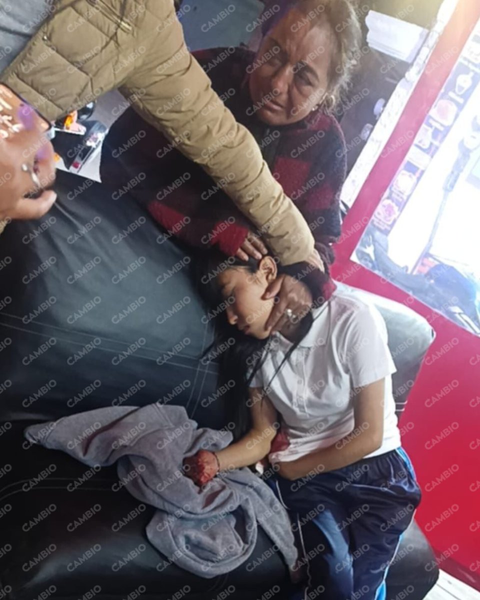 Diario_Cambio's tweet photo. 🚨👧🏻 #ChecaEsto | Una estudiante de 15 años de edad fue apuñalada por un delincuente que la intentó asaltar en la colonia El Salvador, en Puebla. La menor se encuentra gravemente herida

#diariocambio #Puebla https://t.co/1mq0bSiB6p