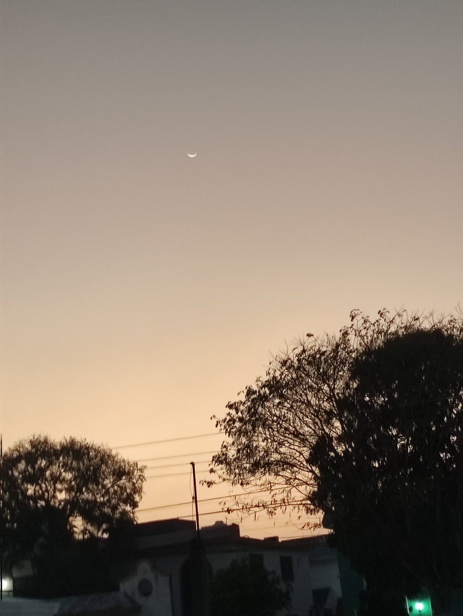 ...❤️...
Mi cielo...
Mi luna... usted 💚 

Sin poesía 
La luna ...
Sólo es la luna...

#BuenasNoches #BuenosDías #FelizVida #Abrazo #Tierno besos 💋  #Invierno Con tintes de primavera #TuPoesía #LYF15