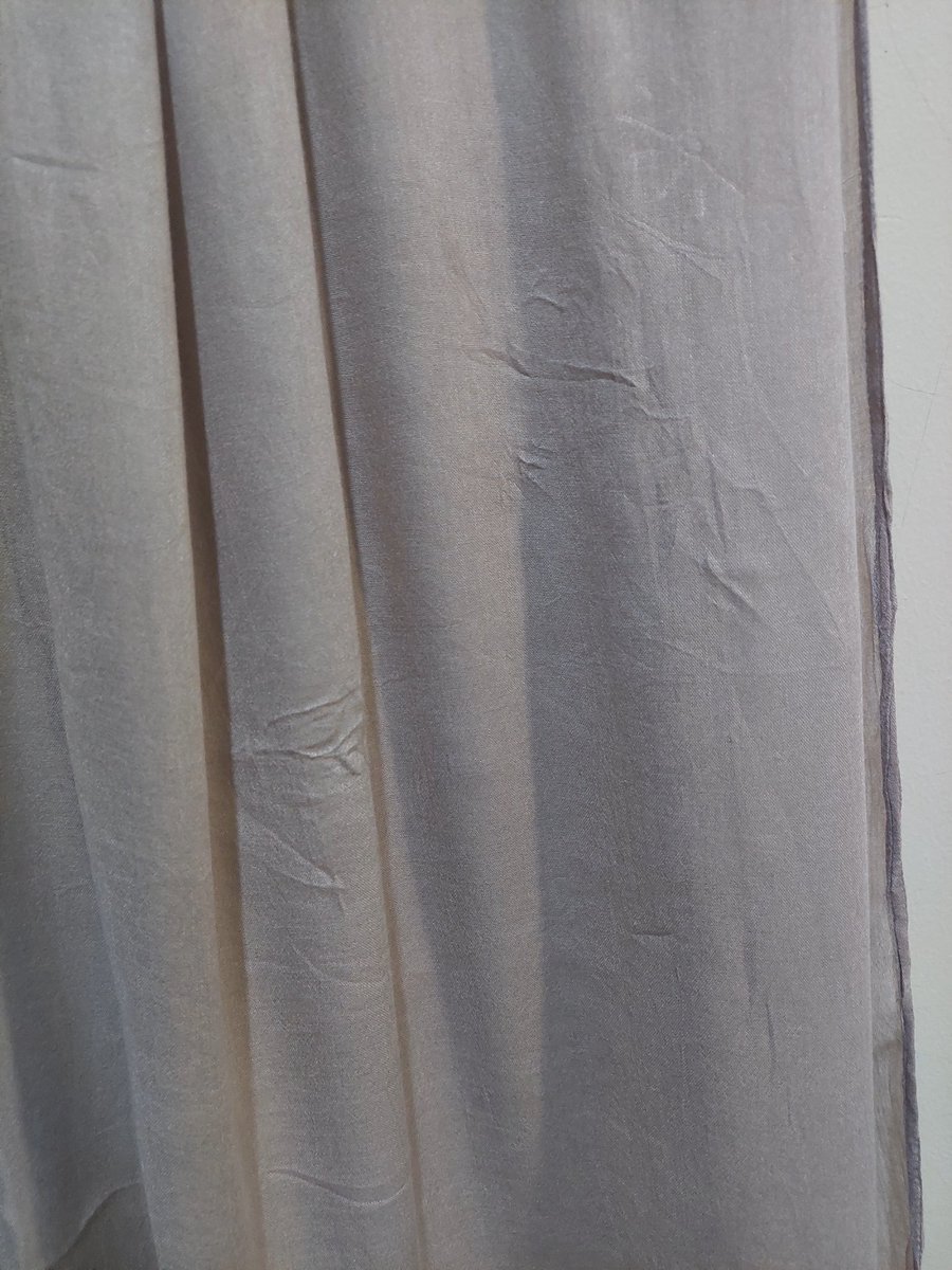 ;🕸️ tweet media