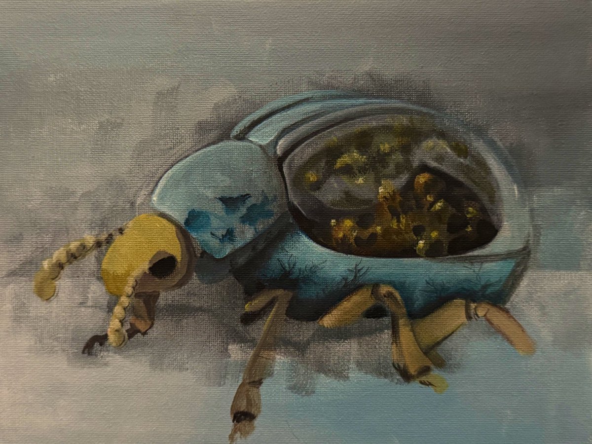 practicing opaque illusions for the next week 🪲