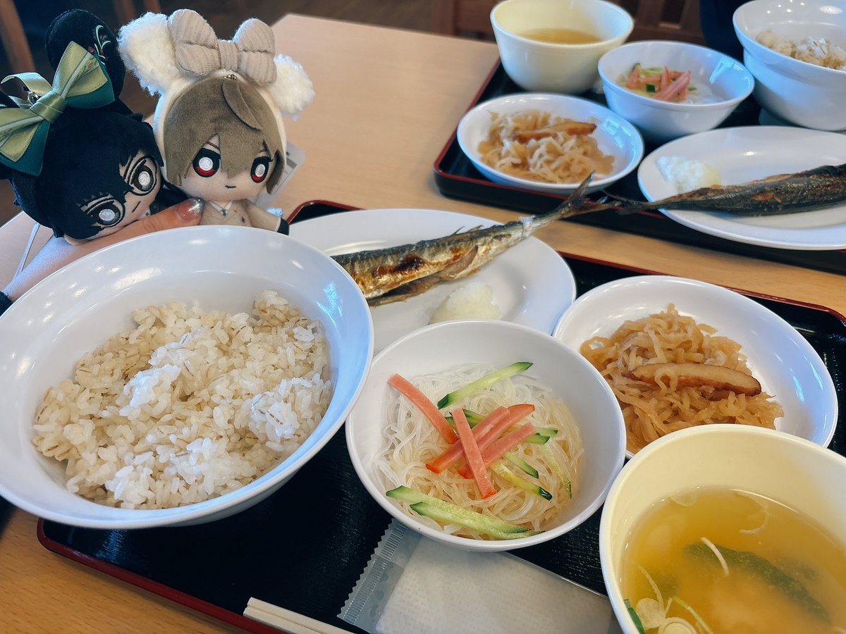 ここがベﾉﾚベッ卜ﾉﾚームか〜珍しく食事も出してくれるらしいぞ