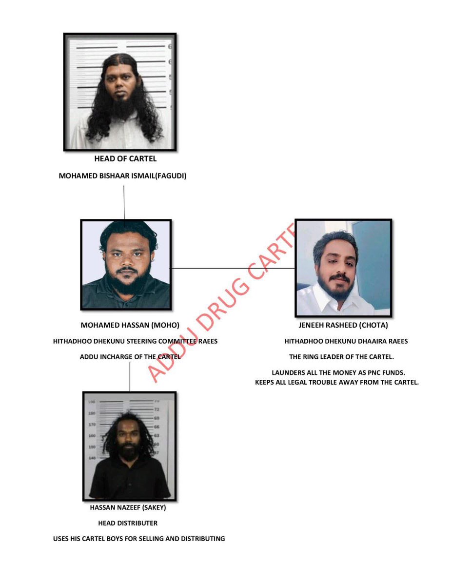 މުޙައްމަދު ބިޝާރު އިސްމާޢީލާއި މުޙައްމަދު ޙަސަންއަކީ 2007 ގެ ސަލްޓަން ޕާކު ބޮމުގެ ހަމަލާއާ ގުޅުން އޮތް، ޕާކިސްތާނުން ތަމްރީނު ހޯދާފައިވާ ދެމީހުންނެވެ. މި ދެމީހުން 2012 އިން ފެށިގެން އައްޑޫ ސިޓީގައި މަސްތުވާތަކެތީގެ ވިޔަފާރި ފުޅާކުރަމުން އައިސްފައިވާއިރު، ސިޔާސީ ނިވަލުގައި ތިބެ