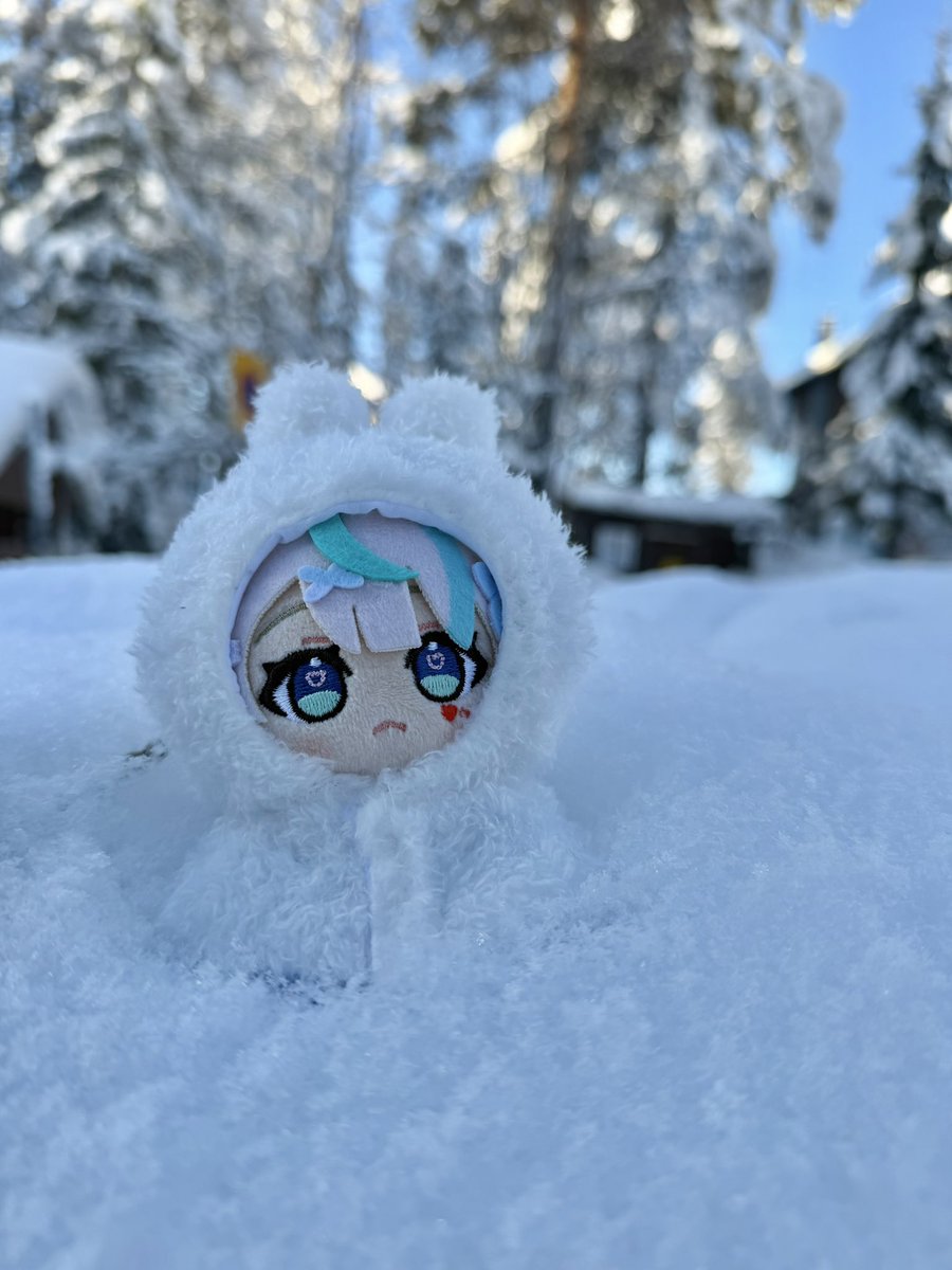 ｰ20℃の世界に居ます。