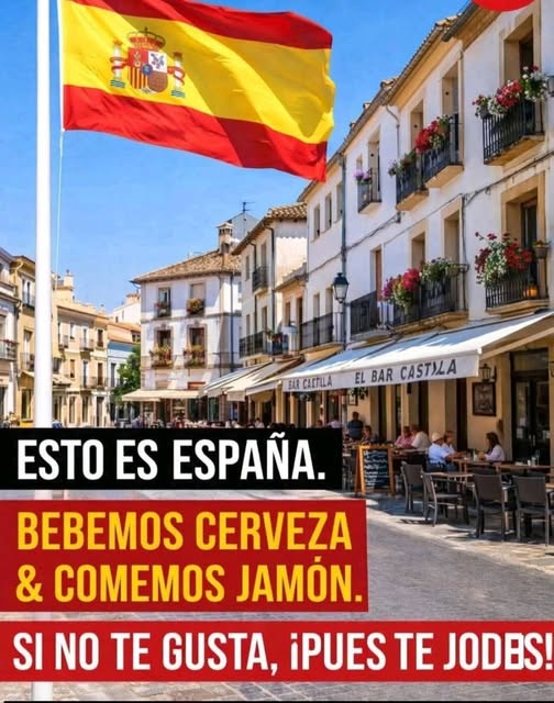 PEPE, en Español (@pepeluspain) on Twitter photo 