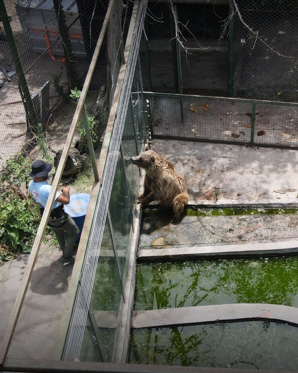 FOUR PAWS International tweet media