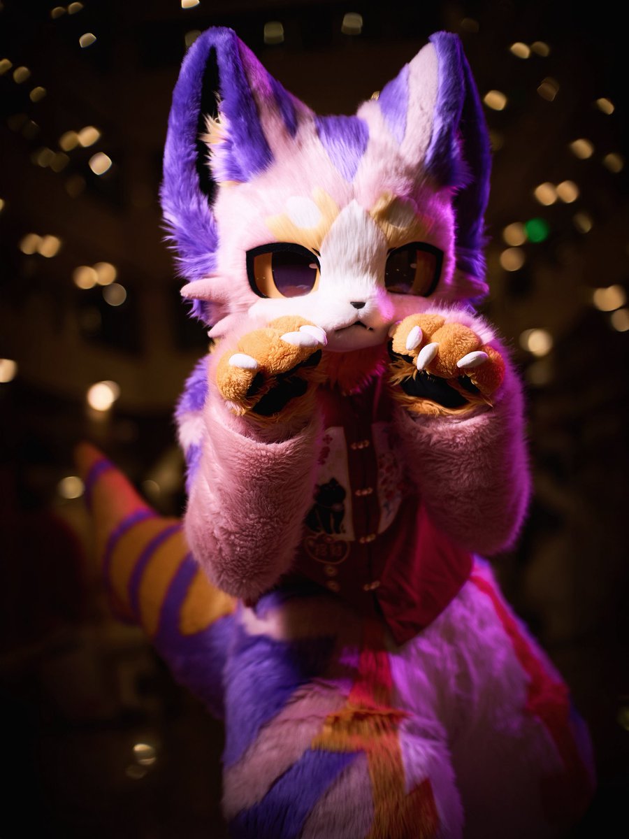 碳丸·炭まる🐟 tweet media