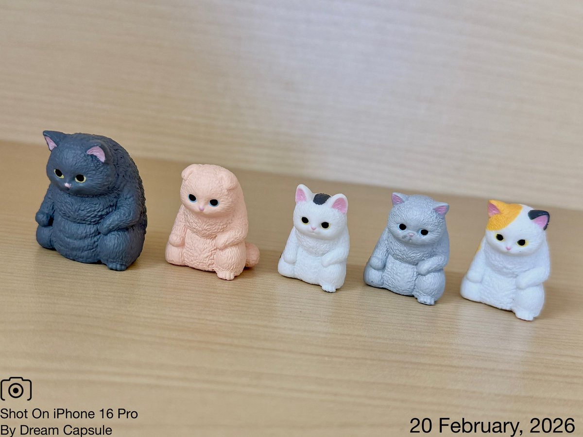 🌟新入荷ガチャ商品プレゼントCP🌟

猫があなたの仰せのままに...
「御意 -ぎょい-」

フォロー&amp;RP(RT)していただいた方の中から抽選で2名様に全5種セットをプレゼント🎁
ドリカプへの入荷日とキャンペーン詳細は↓

#ドリームカプセル #ガチャ専門店