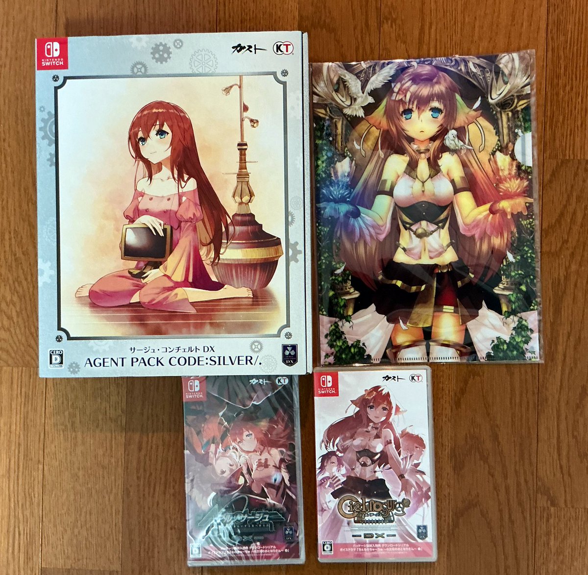 AGENT PACK CODE：SILVER/. 」届いた！！！ 値段的にソフト同梱版では