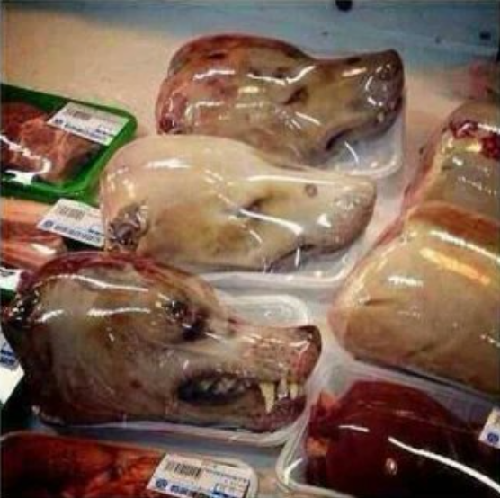 NTafini74182's tweet photo. @jeffreallybezos @nofiltervr @caratopp @Olaaaaamide @PalesaMogorosi_ @fomowalker1 @thedonjazlfc @Delightistired largest in the world thats crazy no wonder dogs have been going missing you people https://t.co/PTj1OF65XK