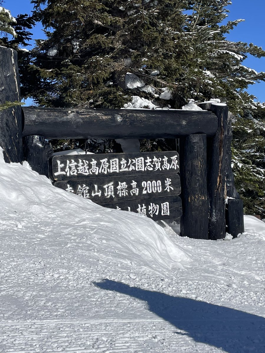 おさかな🍏 (@osakana_9632) / Posts / X