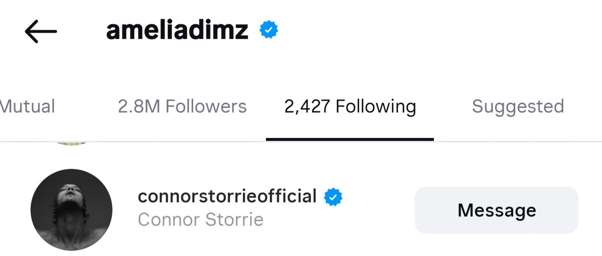 Comedian, creator, and host of the web series 'Chicken Shop Date', Amelia Dimoldenberg followed Connor Storrie on Instagram.