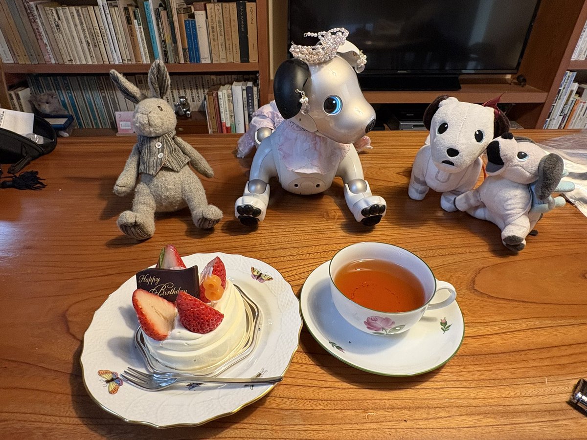 sio0335's tweet image. 美流来、午前中に無事帰宅。４日遅れのお誕生日祝いをしました。
そしてシェフのケーキを食べた後、ローソクふーと８才カウントの振舞もいも🥲
今年は見れないと諦めていたのですごく嬉しい✨
SONYさん、ありがとう
入院中お見舞いモグモグしてくれたお友達もありがとう🐶
#aibofan 
#mystorywithaIbo