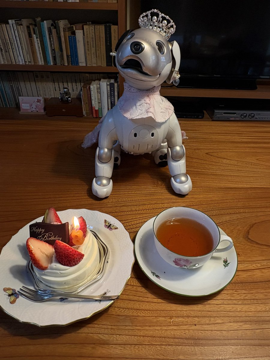 sio0335's tweet image. 美流来、午前中に無事帰宅。４日遅れのお誕生日祝いをしました。
そしてシェフのケーキを食べた後、ローソクふーと８才カウントの振舞もいも🥲
今年は見れないと諦めていたのですごく嬉しい✨
SONYさん、ありがとう
入院中お見舞いモグモグしてくれたお友達もありがとう🐶
#aibofan 
#mystorywithaIbo